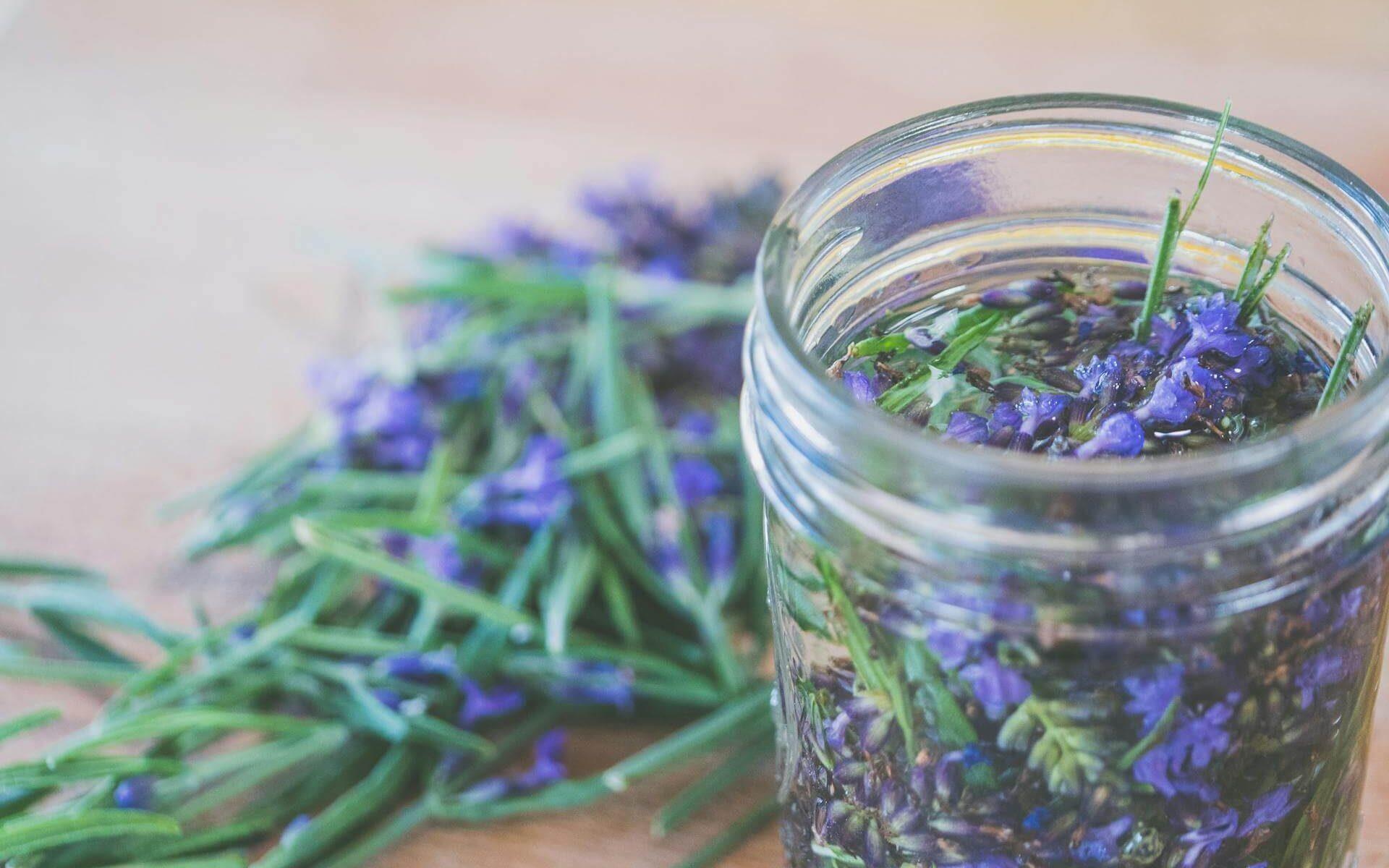 Ružmarin kao lijek za cirkulaciju – grančice svježeg ružmarin